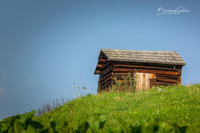 Einsam und verlassen – Einfach nur schön. | Foto: Bernhard Gruber Photography