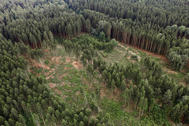 Der erste Bundesland-Report zu den Folgen der Klimakrise in Oberösterreich wurde nun von Greenpeace veröffentlicht.