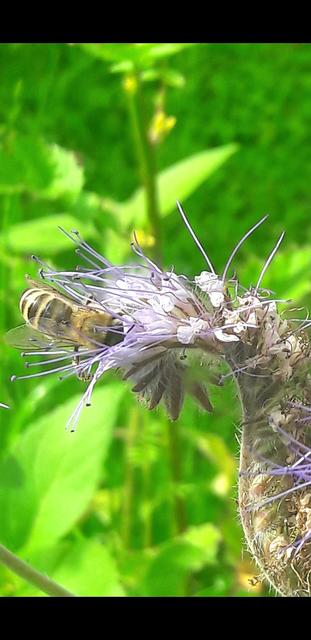 Da muss doch was sein | Foto: Franz Reiter