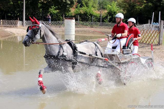 Bei ihrer ersten WM erreichten Gösler und Appel den sehr guten 7. Platz. | Foto: Vida-Szücs Istvan