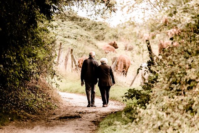 Bewegung und positive, soziale Beziehungen sind Mittel, die helfen können, eine Alzheimer-Erkrankung so weit es geht hinaus zu schieben. | Foto: Susanne Pälmer, Pixabay 