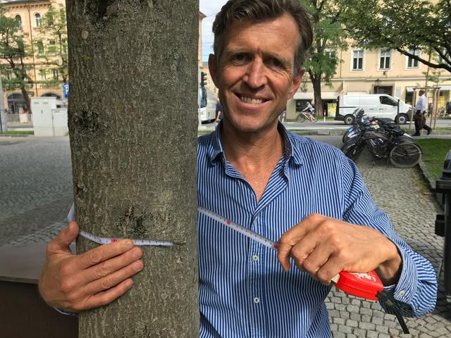 GR Bernhard Carl (Bürgerliste) will die Baumschutz-Verordnung nach Wiener und Grazer Vorbild auch in Salzburg deutlich verbessern. | Foto: Bürgerliste