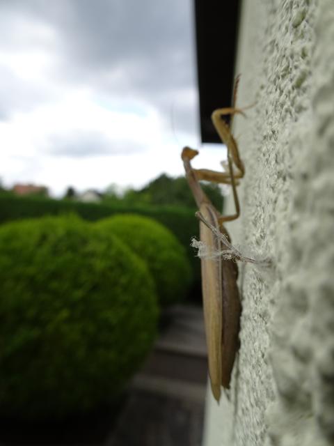 Aflenz mann kennenlernen, Kssen dating service. Single urlaub in rum. Partnervermittlung umgebung in weigelsdorf. Eggendorf neue leute kennenlernen. Aflenz mann kennenlernen. Dating internet kostenlos
