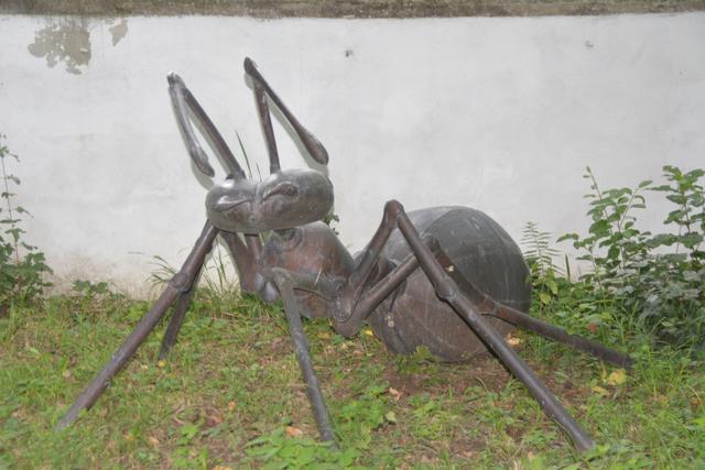 Riesenameise beim Kastell in Markt Neuhodis gesichtet | Foto: Michael Strini