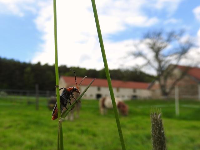 Ausblick | Foto: Regionautin Manuela Koller