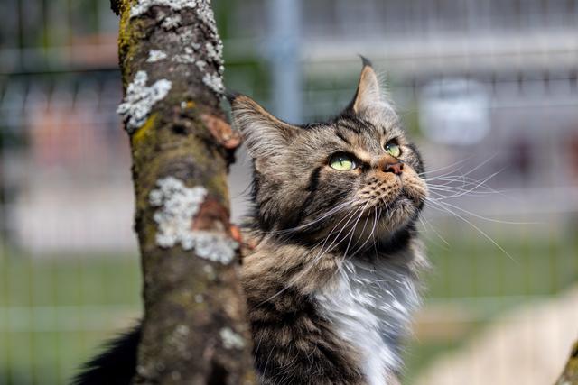 Frischluft schnuppern | Foto: Robin Ehrenhöfer