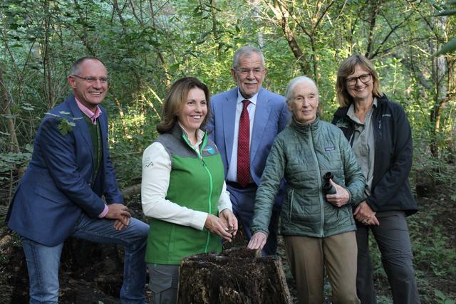 Im Urwald: G. Karner, E. Klauser, A. Van der Bellen, J. Goodall, M. Patek
