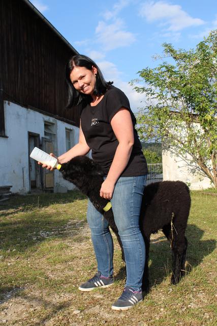 Alpaka-Baby Ophelia bekommt Fläschchen mit Ziegenmilch, anfangs alle zwei Stunden.  | Foto: Ulrike Plank