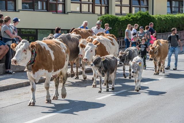 Foto: zeitungsfoto.at