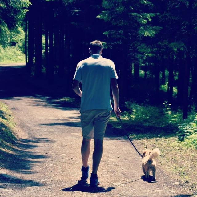 Das Gesetz regelt: Hunde sind an der Leine zu führen.