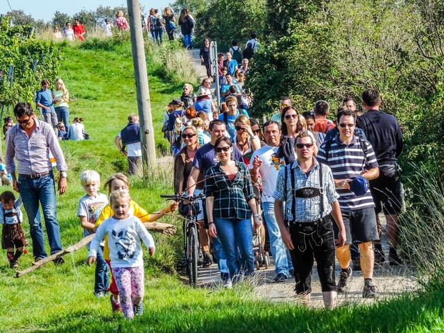 Auf einer Gesamtlänge von rund 25 Kilometern kann auf drei Routen nach Herzenslust gewandert, verkostet und geschlemmt werden.