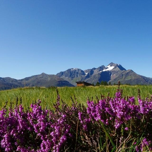 Tirol ❤ i mog di! (Strengen Dawin großer See)  | Foto: Andrea Sternberg