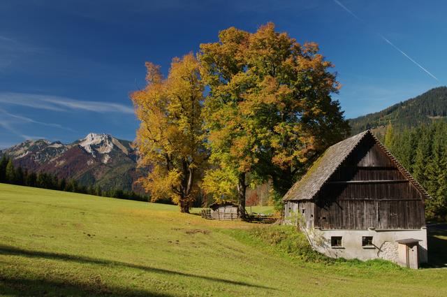 Besuche die NÖ Naturparke im Herbst, lade dein Foto hoch und gewinne eine Kamera samt Objektiv im Wert von 300 Euro! | Foto: Naturparke Niederösterreich/POV