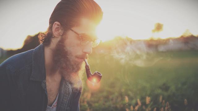 Ja wir freuen uns voll auf euch jungen, urbanen Hipster auf der Flucht vor der Hitze der Stadt...
