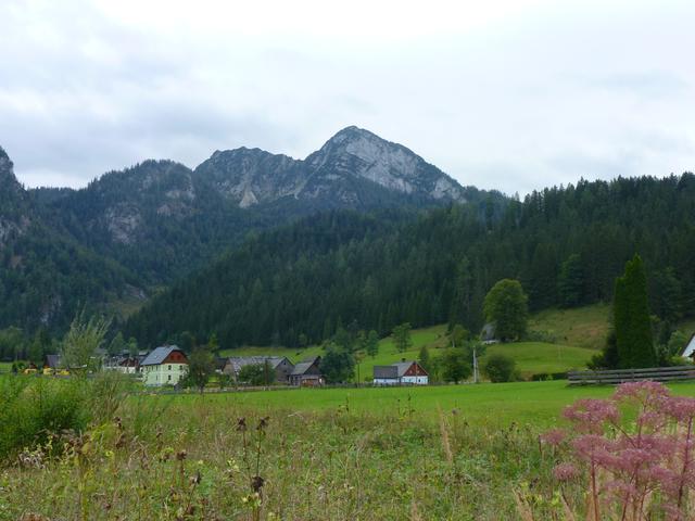 Foto: Hinterwildalpen