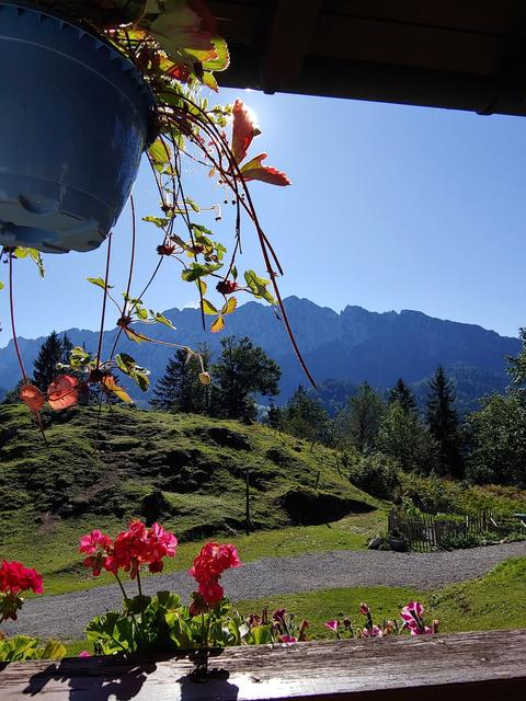 Stefanie Egerbacher – Weinbergerhaus | Foto: Stefanie Egerbacher