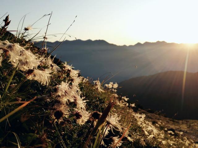 Sonnenaufgang Serles | Foto: Nina Monz