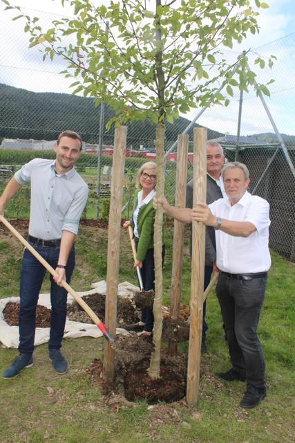 Gabriele Kolar pflanzte gemeinsam mit Jochen Jance, Hannes Koudelka und Ernst Ebner ihren Lebensbaum im Jugendpark.