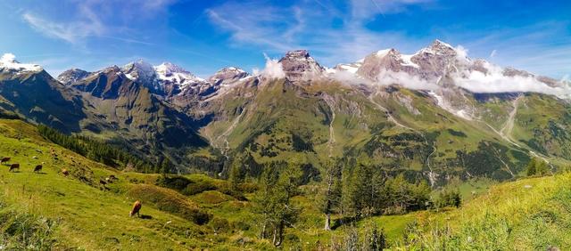 Einige 3000er – Sinnwelleck 3281m - Fuscherkarkopf 3331m - Breitkopf 3154m - Mt. Bärenkopf 3358m - Hohe Dock 3348m....Alle in Großglockner nähe. | Foto: alkmar Ameringer