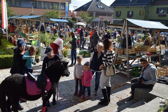 Spezielles Marktkonzept beim Altmünsterer Erntemarkt.