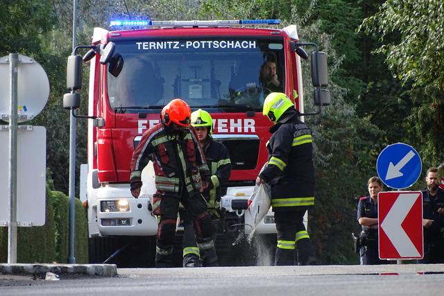 Urlaub Ternitz - Niedersterreich - sterreich: Alle Informationen zu Reisen, Familienurlaub und Sommerurlaub in Ternitz. Sie erhalten Sommer Infos zu Familie, Ternitz: Urlaub Ternitz - Reisen Ternitz - BERGFEX