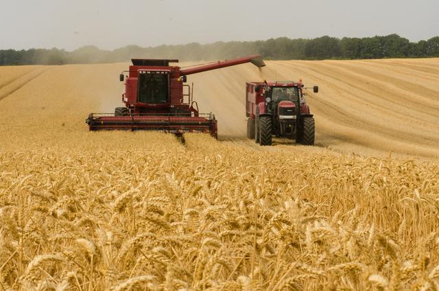 Das Mercosur-Abkommen bedrohe laut den österreichischen Parteien die heimische Landwirtschaft.