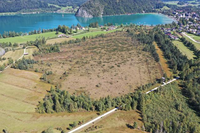 Das Blinklingmoos in Strobl ist eines der schönsten Hochmoore in Salzburg. | Foto: Land Salzburg/Revital