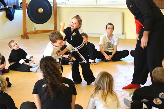 Die IWKA Kung Fu Akademie Villach bietet ein spezielles Programm für Kinder. Hier sieht man die Panda-Gruppe beim Training