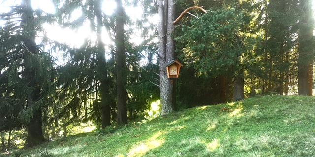 Sorgen auch um den Kreuzweg.
