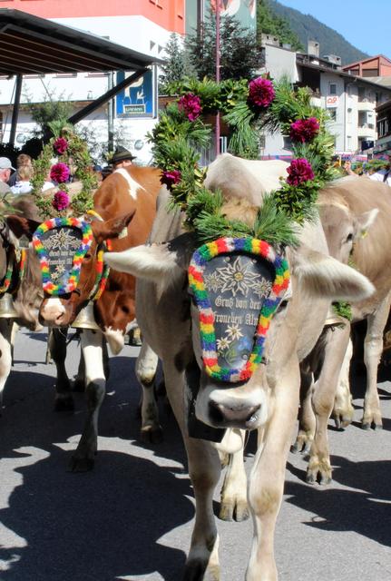 Bunt geschmückt kamen die Tiere zurück ins Tal.