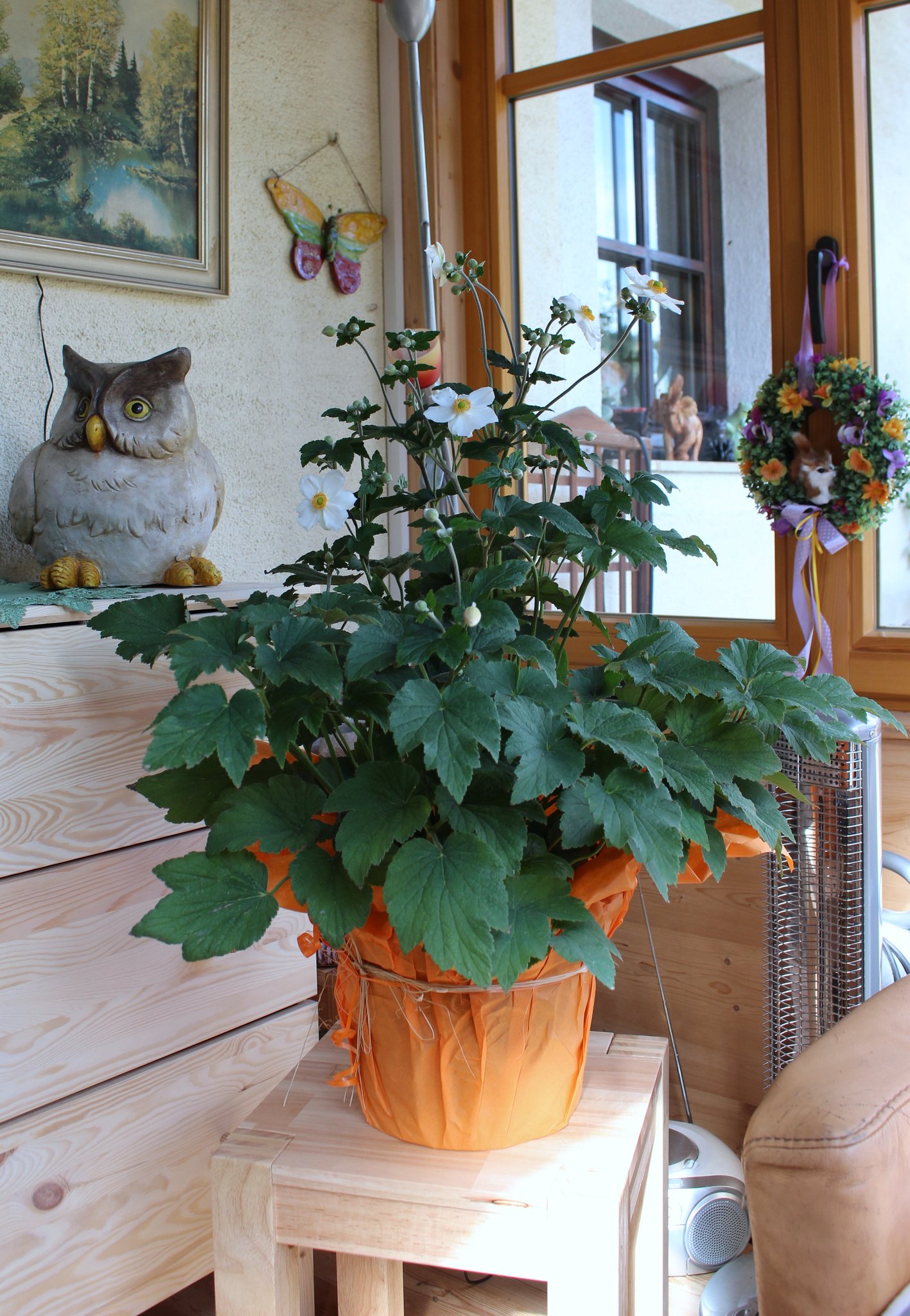 Pensionisten gratulierten zum Geburtstag Johanna Wallner feierte ihren 80. Geburtstag