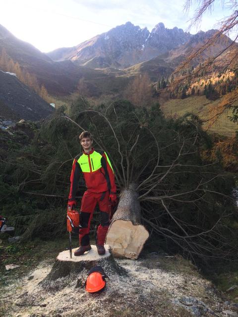Lorenzo Fuchs durfte in Tirol bei einer Weiterbldung diesen mächtigen Baum fällen. | Foto: zVg/ÖBf