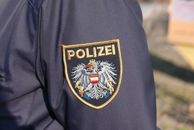 Laut Polizei war der Lenker alkoholisiert. | Foto: BRS