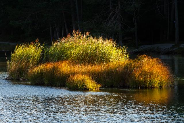 Mit diesen Foto # 1180 vom Möserer See wünsche ich euch eine gute und farbenfrohe Herbstwoche.