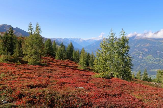 Herbstliche Farben am Hochstein – am Rückweg vom Bösen Weibele 2521m | Foto: Caro Guttner