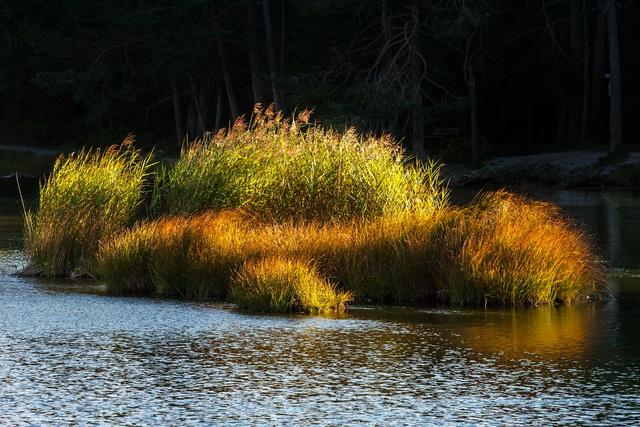 Astronomischer Herbstbeginn –  vom Möserer See zum astronomischen Herbstbeginn am 23. September. | Foto: Günter Kramarcsik