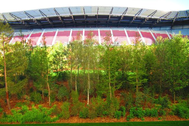 For Forest im Klagenfurter Stadion