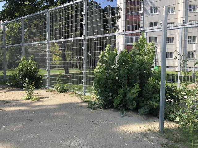 Statt Fußballtore findet man im Inneren Büsche.