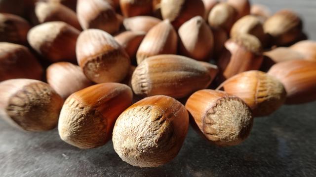 Die reifen Haselnüsse am 28.09.2019! Jetzt sind sie zum Verzehr geeignet und können geknackt werden! ... ;))) | Foto: S.Plischek
