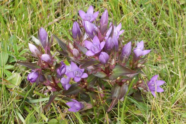 Es freut sich die NATUR  | Foto: Ferdinand Mader