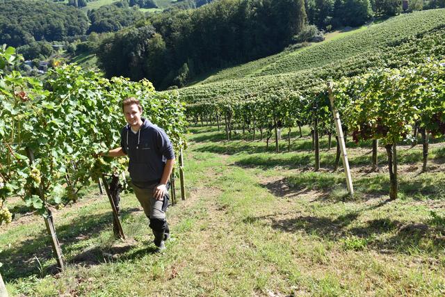 Mathias Prugmair Im Gesprach Weinlese In Neuseeland Und Daheim
