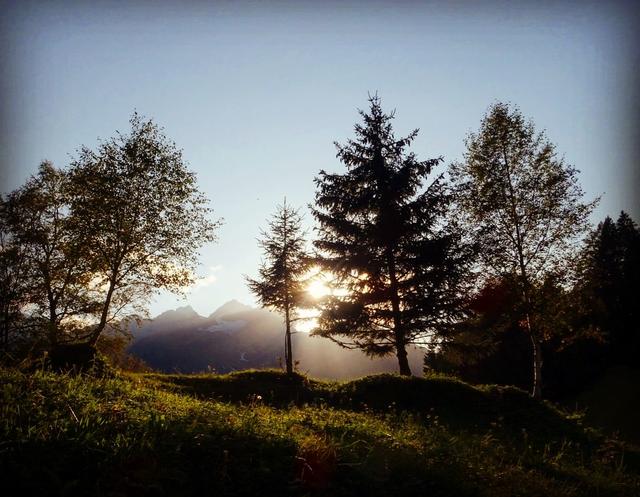 herbstliche Lichtblicke | Foto: Andrea Sternberg