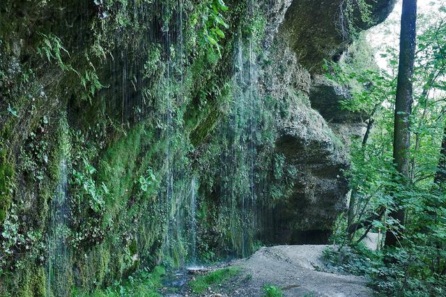 Foto: Alfred Spannring