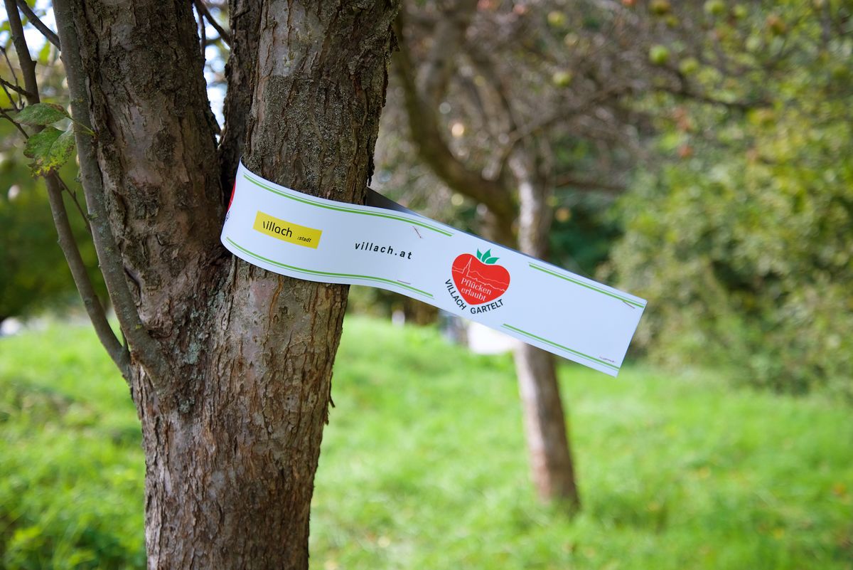 Essbares Villach Gratis Obst Gemuse Ernten Villach