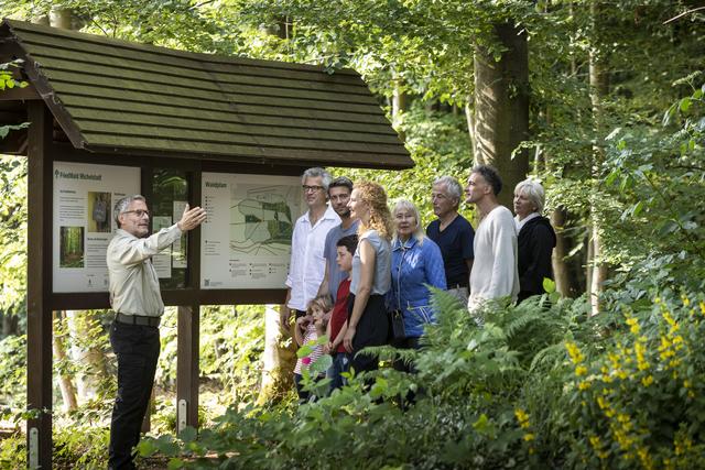 Bestattung in der Natur: Friedwald: Letzte Ruhe unter Bäumen - Perg