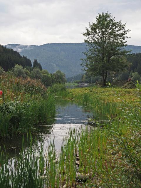 Schön anzusehen ist er der Trabochersee.