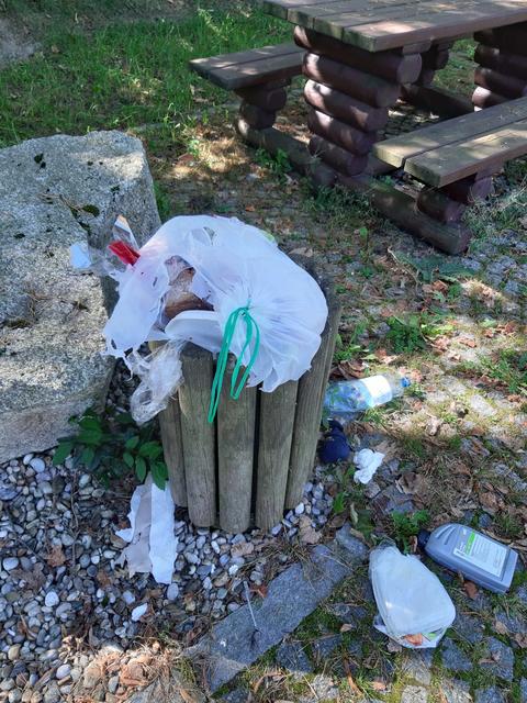Die Mistkübel gehen stets über, die Stadt will reagieren.  | Foto: Wurz