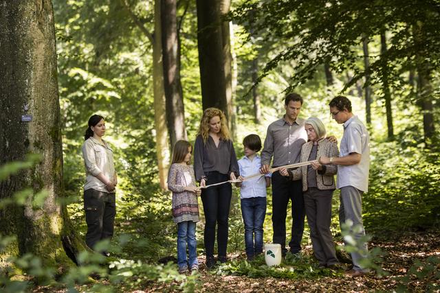 Bestattung in der Natur: Friedwald: Letzte Ruhe unter Bäumen - Perg