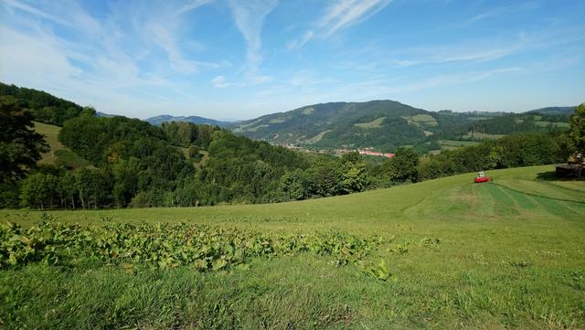 Foto: ATV Spratzern