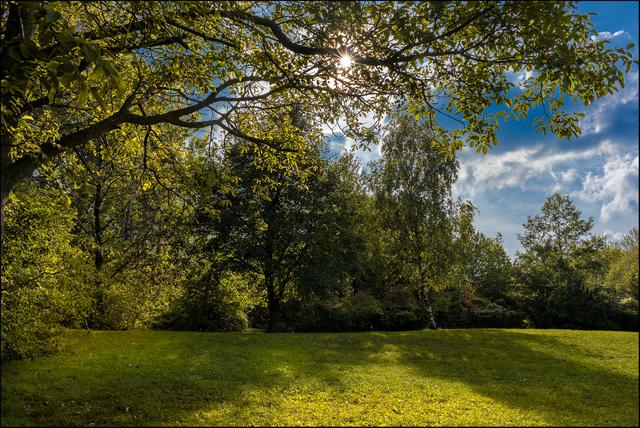 Idyllisch präsentiert sich die Natur am Georgenberg seitlich der Wotrubakirche | Foto: ©Sylvia S., Aus meiner Reihe "Meine Stadtspaziergänge - Urlaub in der Heimatstadt"